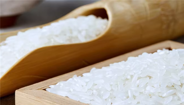 色泽透亮 五稻田五常大米官方新低 10斤36元